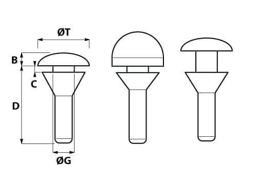 725001 disegno 500x3501 1